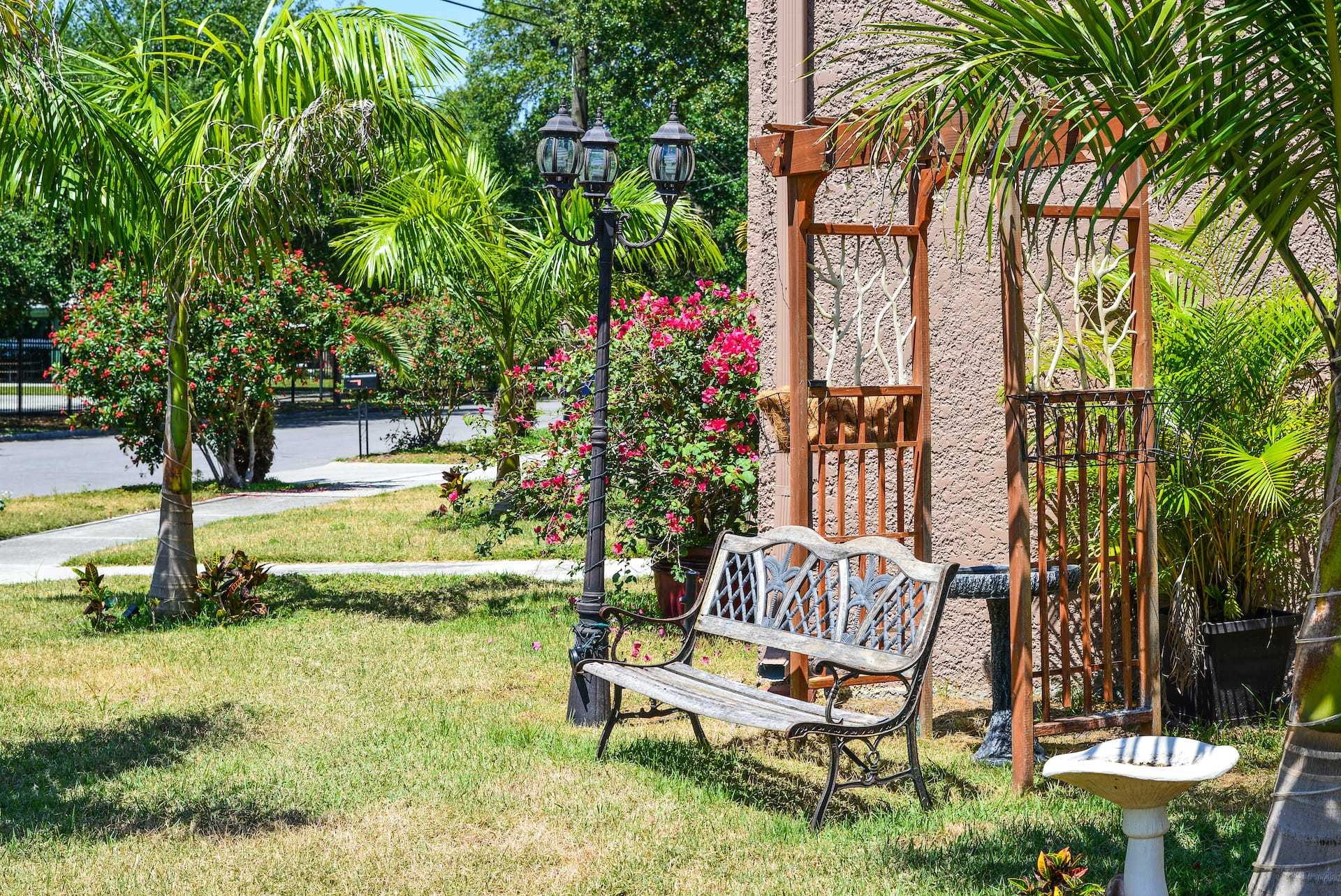 Downtown Tampa Activity